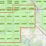 Property map showing mining claims, outlined in red, of Atacama 3 property as owned by Atacama Resources International