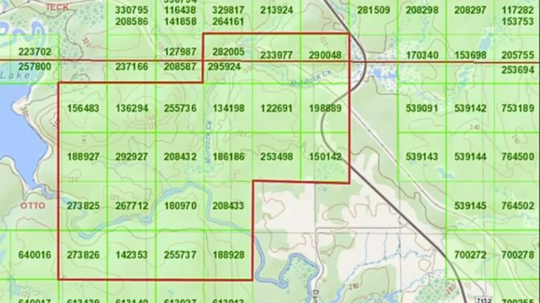 Property map showing mining claims, outlined in red, of Atacama 3 property as owned by Atacama Resources International