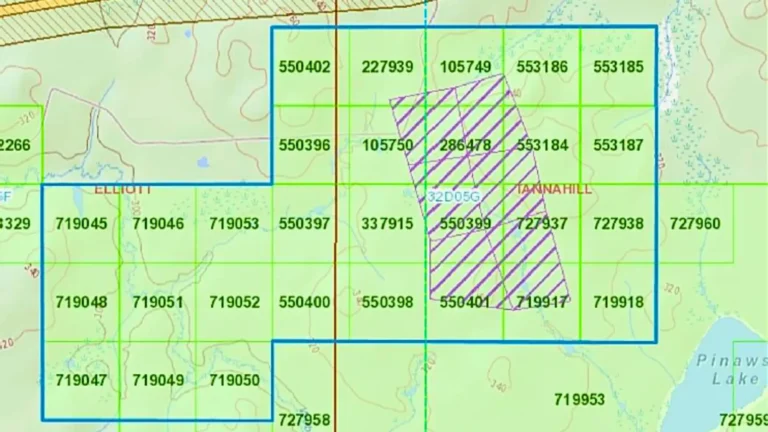 Green grid pattern of numbered mining claims at Tannahill Gold property, owned by Atacama Resources International.